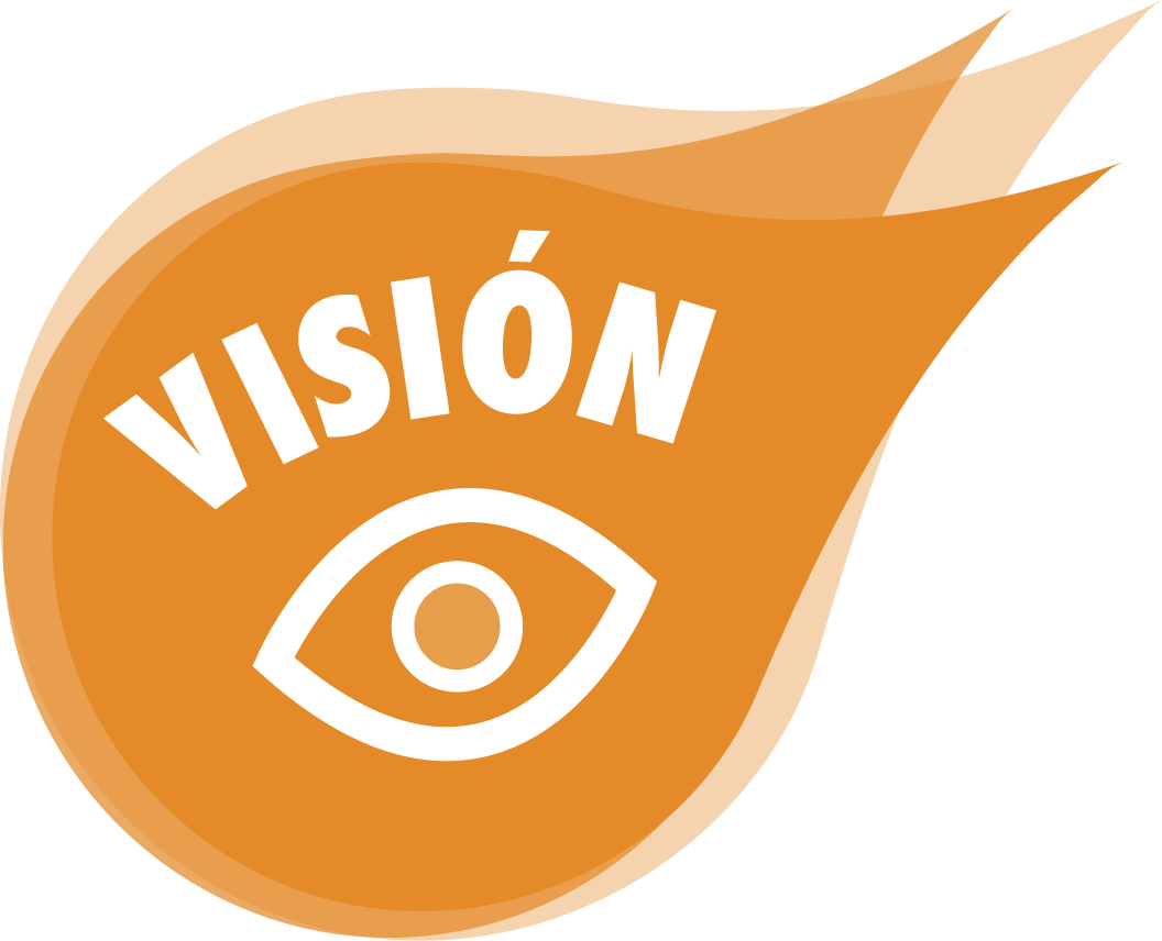 Visión
